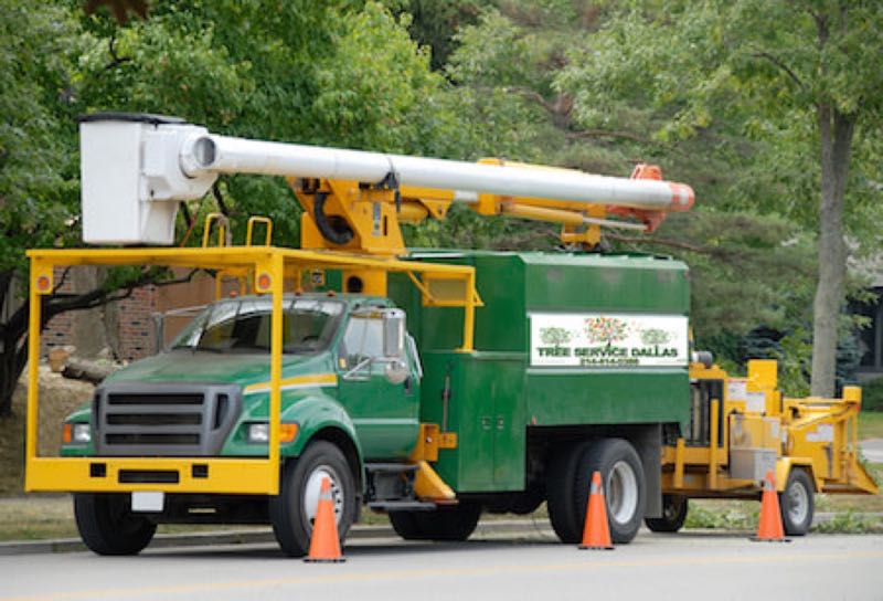 {SERVICE_NAME} project in Wylie