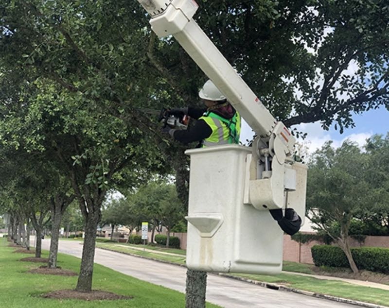 Storm Damage Cleanup in Wylie